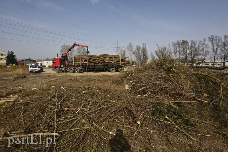 Przy Żuławskiej będzie market. Ruszyły prace zdjęcie nr 173022