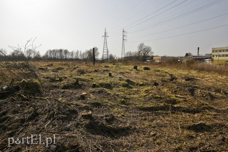 Przy Żuławskiej będzie market. Ruszyły prace zdjęcie nr 173019