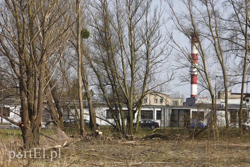 Przy Żuławskiej będzie market. Ruszyły prace zdjęcie nr 173017