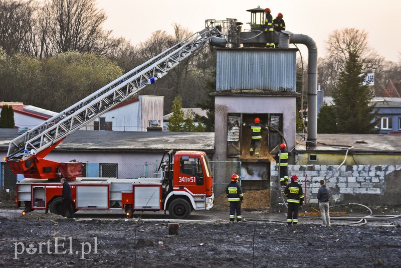 Pożar traw rozprzestrzenił się do stolarni zdjęcie nr 173047