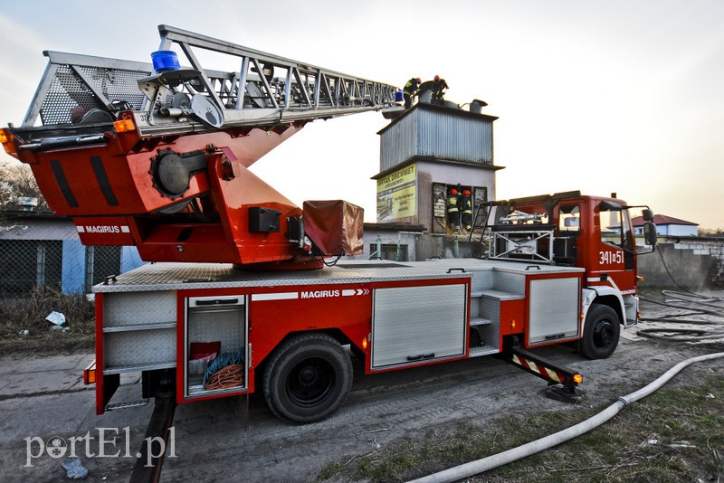 Pożar traw rozprzestrzenił się do stolarni zdjęcie nr 173036