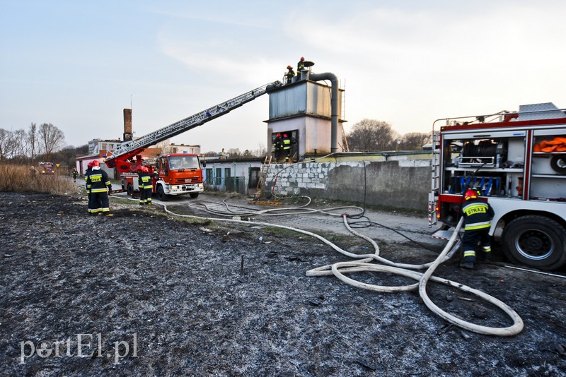Pożar traw rozprzestrzenił się do stolarni zdjęcie nr 173041