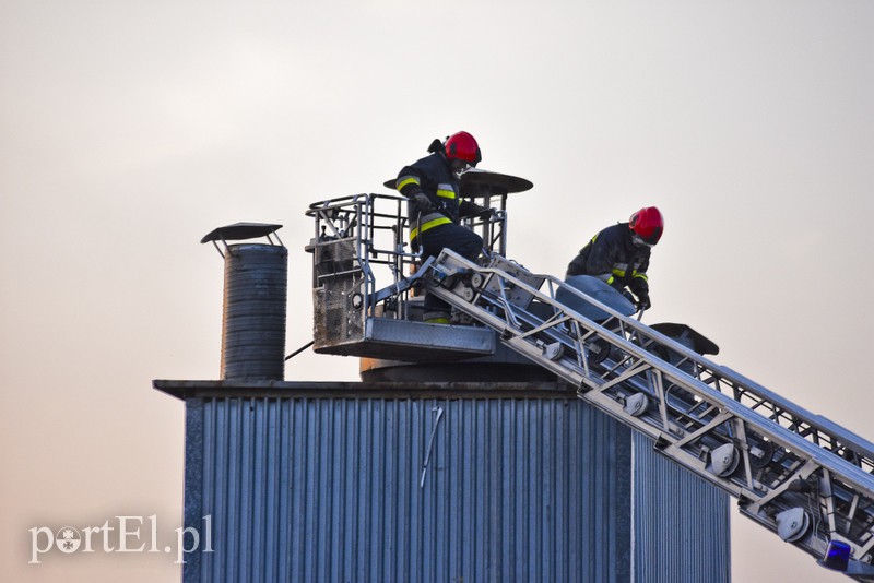 Pożar traw rozprzestrzenił się do stolarni zdjęcie nr 173033