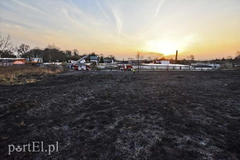 Pożar traw rozprzestrzenił się do stolarni zdjęcie nr 173045