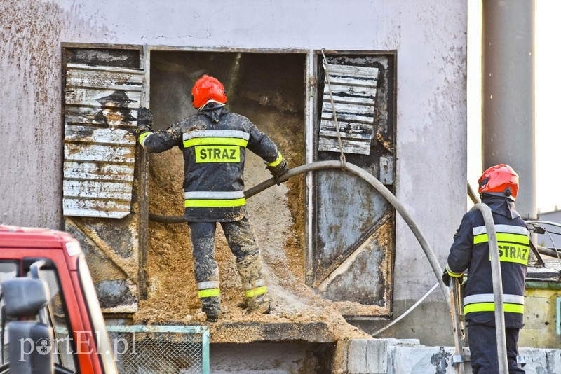 Pożar traw rozprzestrzenił się do stolarni zdjęcie nr 173048