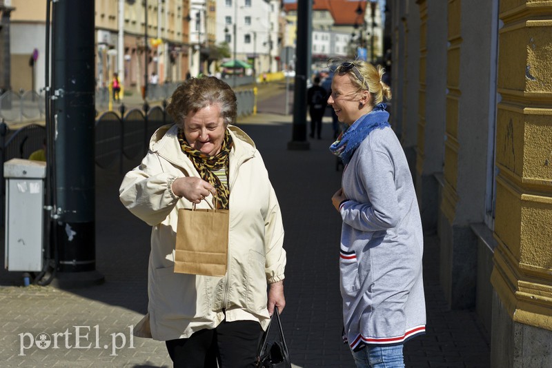 Bratki na Dzień Ziemi zdjęcie nr 173533