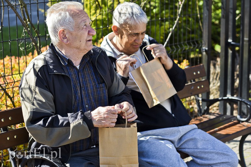 Bratki na Dzień Ziemi zdjęcie nr 173551