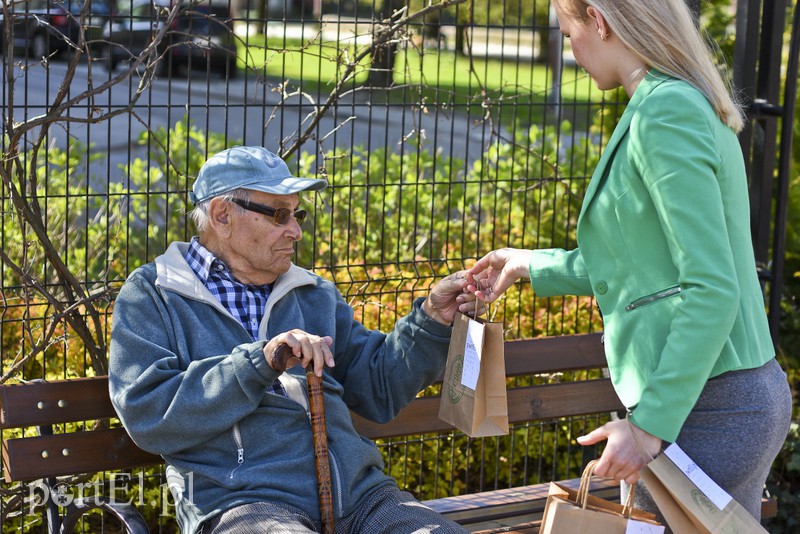 Bratki na Dzień Ziemi zdjęcie nr 173547