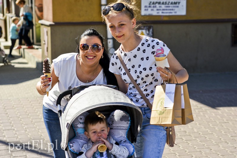 Bratki na Dzień Ziemi zdjęcie nr 173544