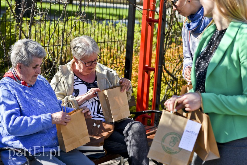 Bratki na Dzień Ziemi zdjęcie nr 173549