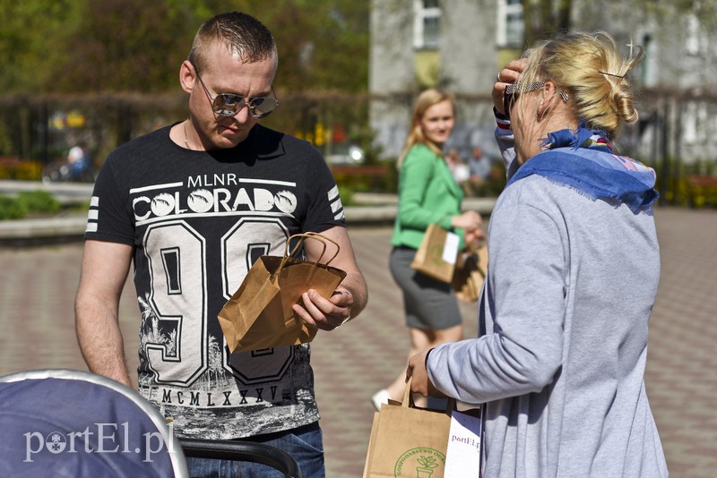 Bratki na Dzień Ziemi zdjęcie nr 173546