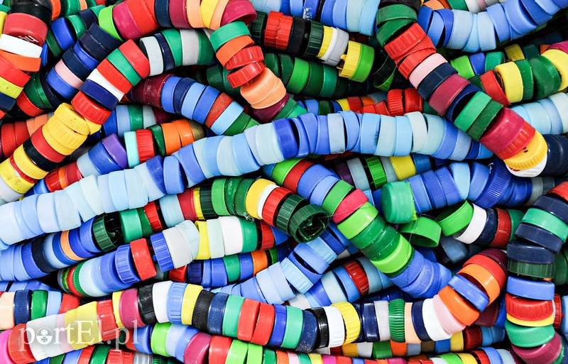 Kilometry nakrętek od uczniów zdjęcie nr 174125