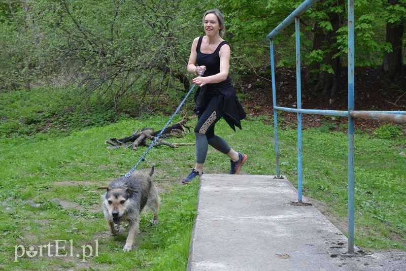 Bieg na 6 łap zdjęcie nr 174283