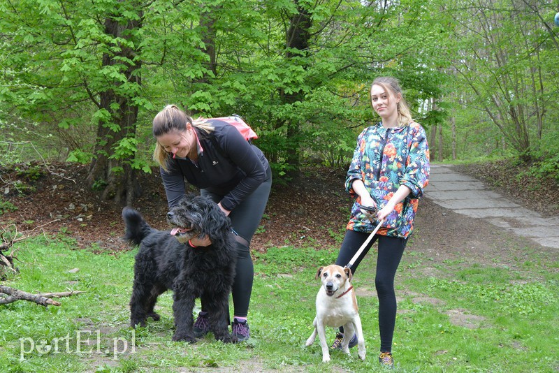 Bieg na 6 łap zdjęcie nr 174285