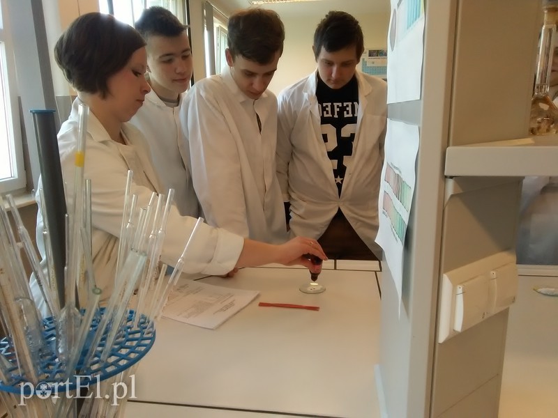 Trwają zapisy do bezpłatnych szkół katolickich SPSK w Elblągu zdjęcie nr 174638