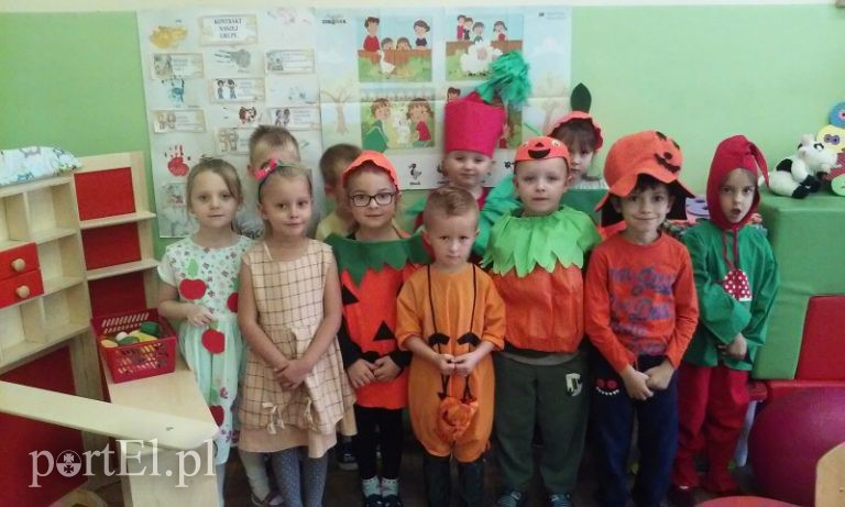 Trwają zapisy do bezpłatnych szkół katolickich SPSK w Elblągu zdjęcie nr 174621