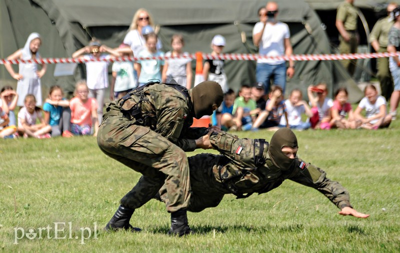 Pokazy, atrakcje i mundury zdjęcie nr 174992