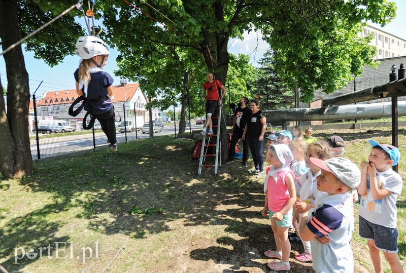 Pokazy, atrakcje i mundury zdjęcie nr 174984