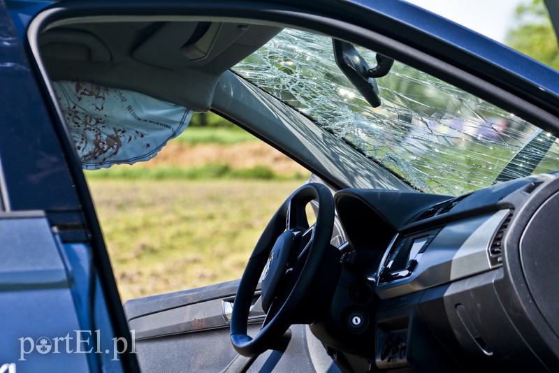 Tragiczny wypadek w Komorowie Żuławskim, nie żyje kierowca skody zdjęcie nr 175046