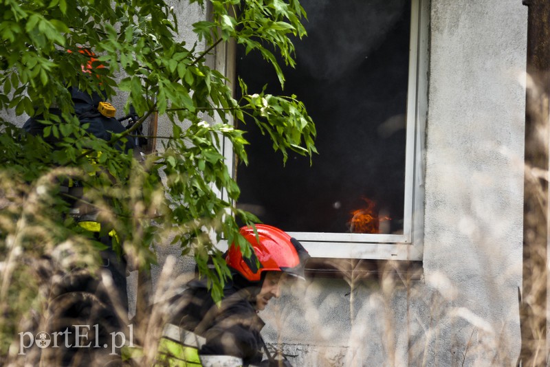 Pożar na Zatorzu zdjęcie nr 175205