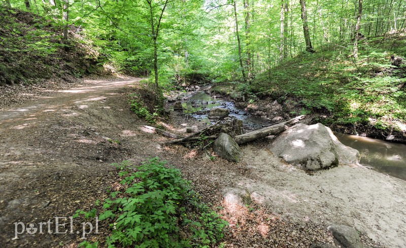 Co dalej z Bażantarnią zdjęcie nr 175235