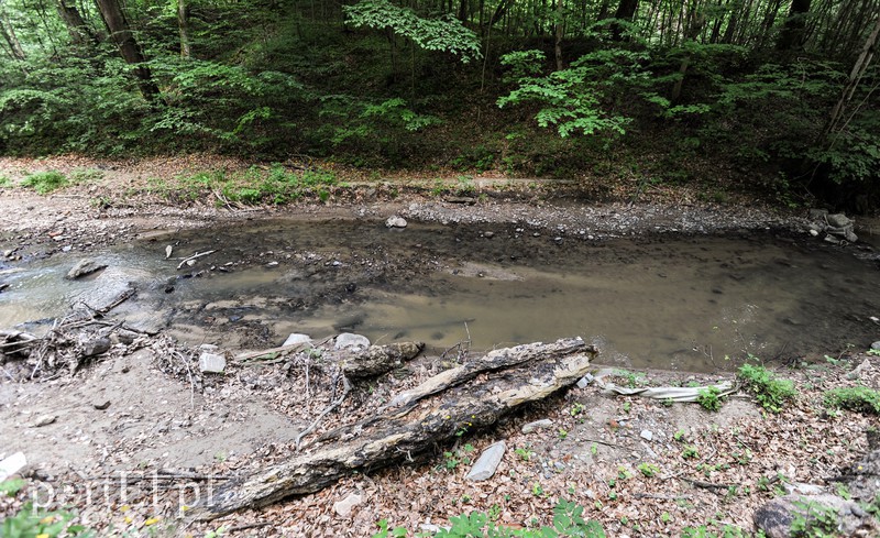 Co dalej z Bażantarnią zdjęcie nr 175223