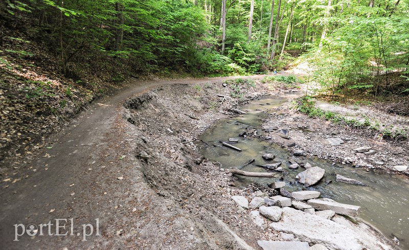 Co dalej z Bażantarnią zdjęcie nr 175227