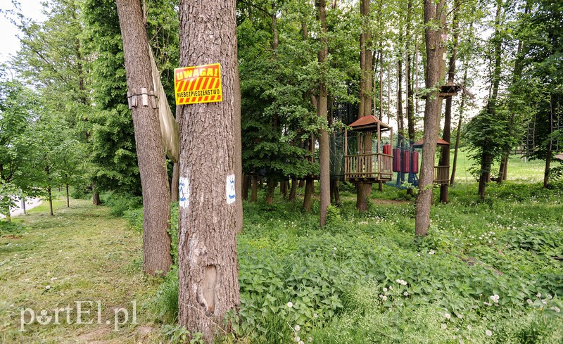 Co dalej z Bażantarnią zdjęcie nr 175218