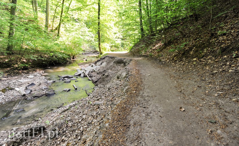 Co dalej z Bażantarnią zdjęcie nr 175229