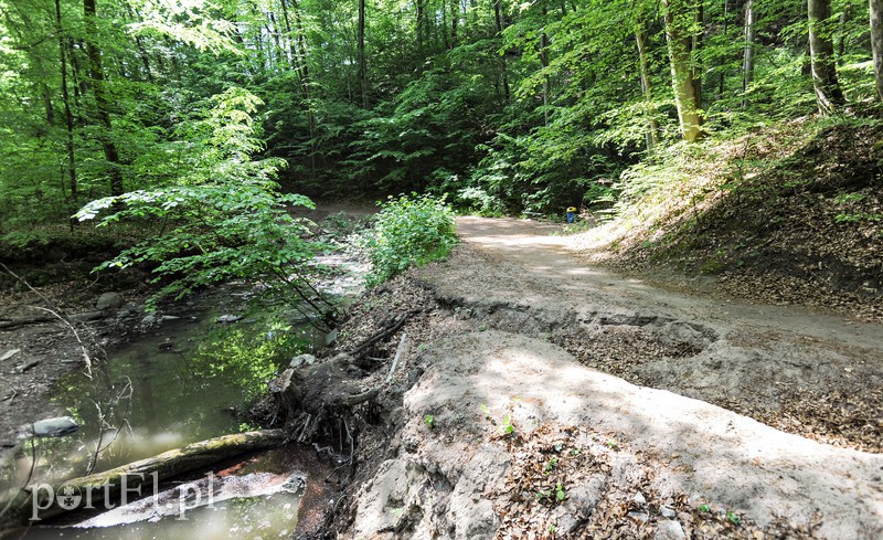 Co dalej z Bażantarnią zdjęcie nr 175230