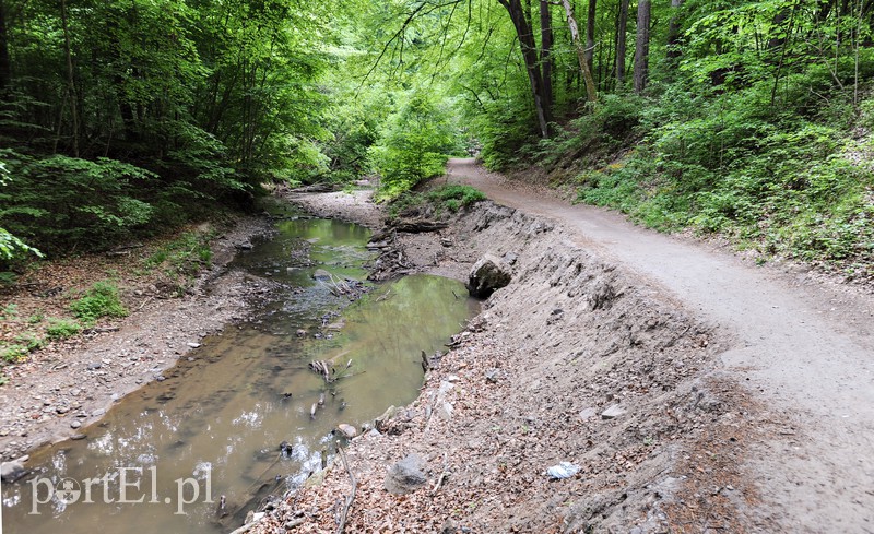 Co dalej z Bażantarnią zdjęcie nr 175224