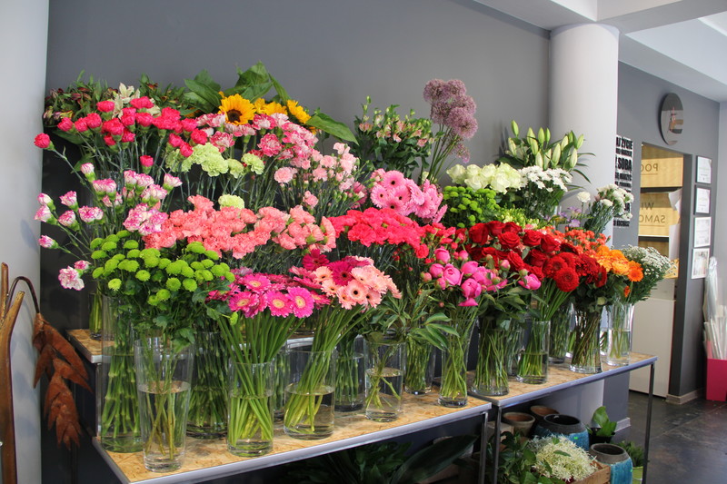 Dzień Matki w Kwiaciarni Romantycznej zdjęcie nr 175897