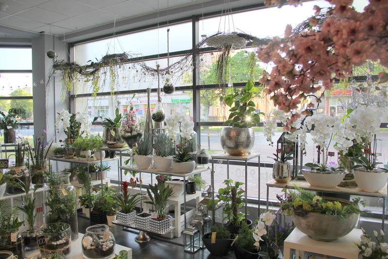 Dzień Matki w Kwiaciarni Romantycznej zdjęcie nr 175893