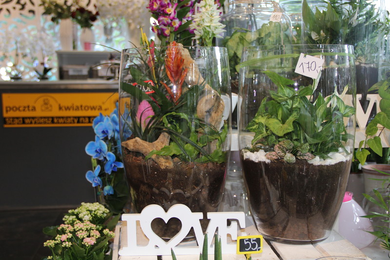 Dzień Matki w Kwiaciarni Romantycznej zdjęcie nr 175896
