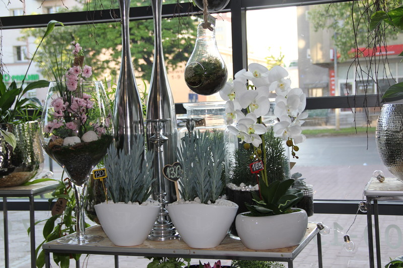 Dzień Matki w Kwiaciarni Romantycznej zdjęcie nr 175894