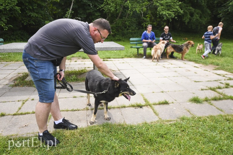 Mamy pomysł na bieg na sześć łap zdjęcie nr 176005