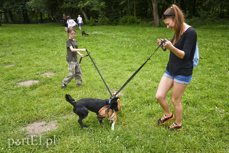 Mamy pomysł na bieg na sześć łap zdjęcie nr 176004