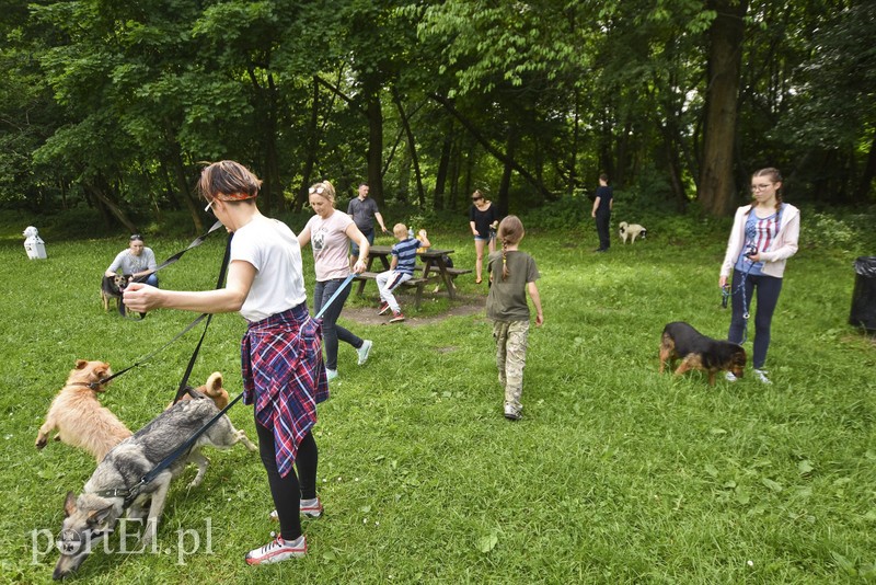 Mamy pomysł na bieg na sześć łap zdjęcie nr 176014