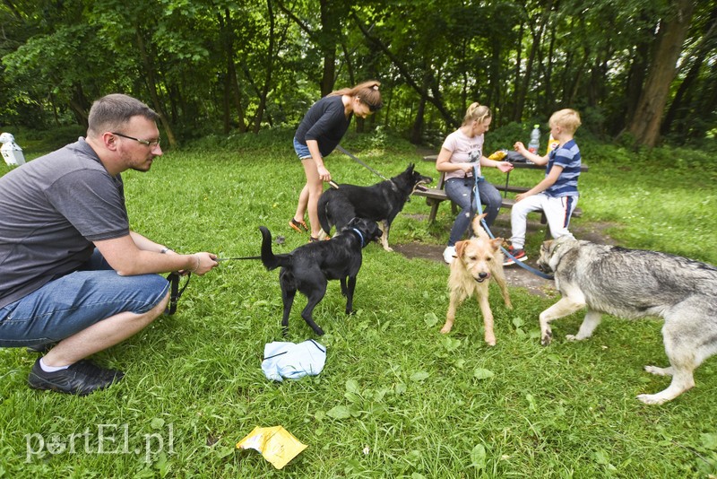 Mamy pomysł na bieg na sześć łap zdjęcie nr 176010