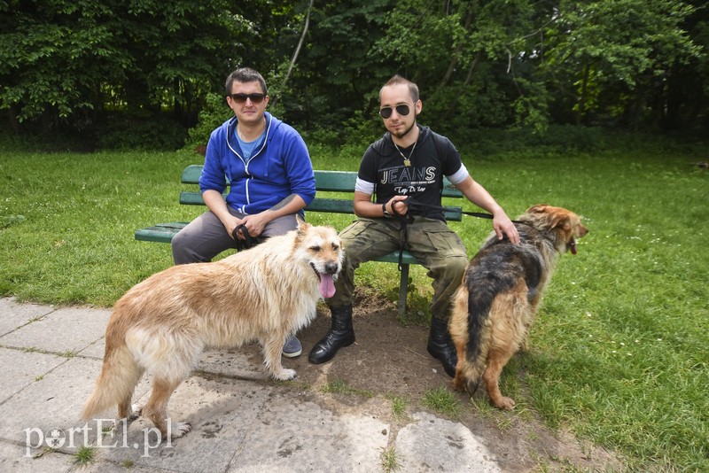 Mamy pomysł na bieg na sześć łap zdjęcie nr 176006