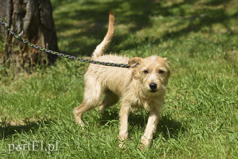 Galeria pod psem i kotem (Odc.3) zdjęcie nr 176172