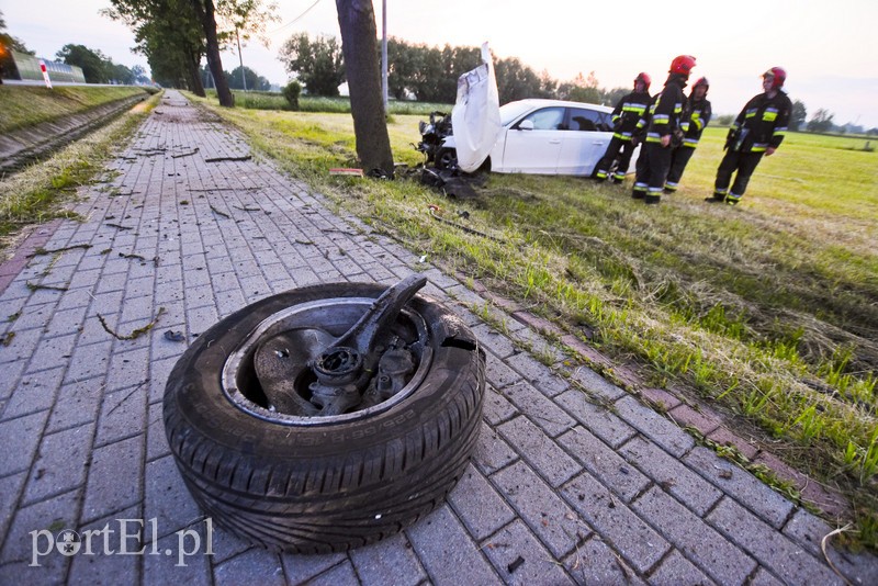 Zasnął za kierownicą i uderzył w drzewo zdjęcie nr 176209