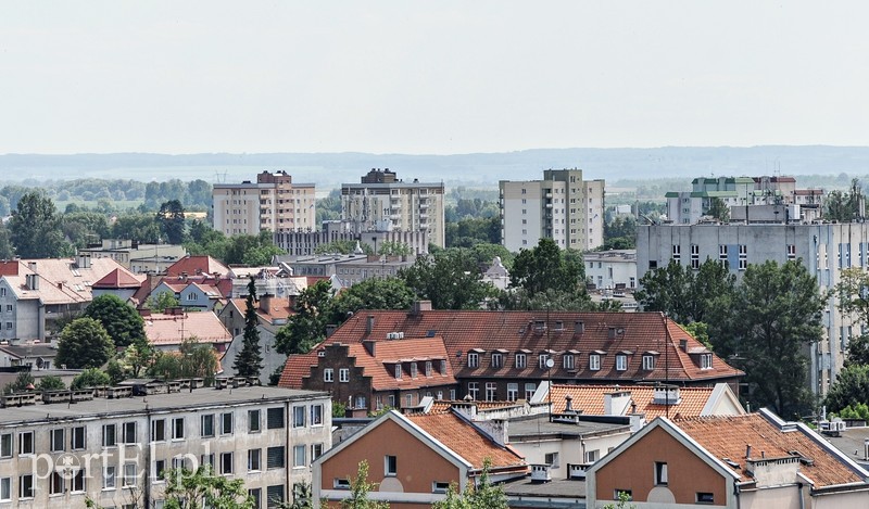  Do urzędu po widoki zdjęcie nr 176263