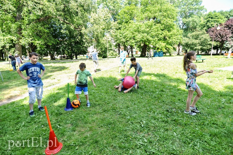 Piknik dla wszystkich sąsiadów zdjęcie nr 176457