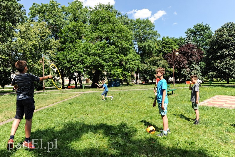 Piknik dla wszystkich sąsiadów zdjęcie nr 176451