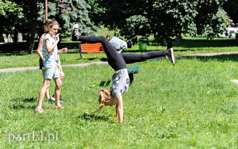 Piknik dla wszystkich sąsiadów zdjęcie nr 176445