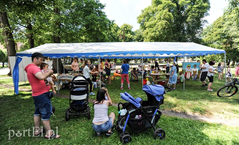 Piknik dla wszystkich sąsiadów zdjęcie nr 176452