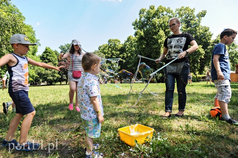 Piknik dla wszystkich sąsiadów zdjęcie nr 176441