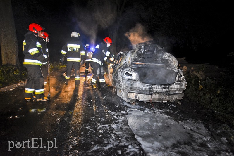 Infiniti spłonęło doszczętnie przy S22 zdjęcie nr 176470