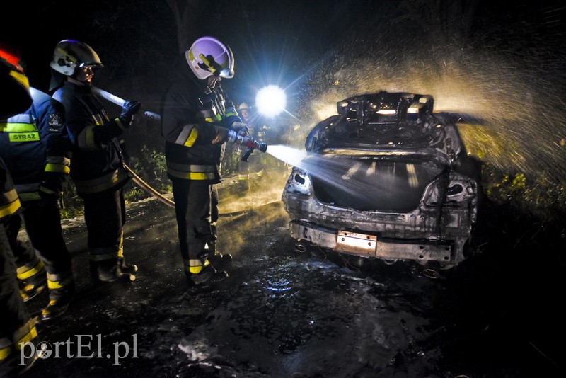 Infiniti spłonęło doszczętnie przy S22 zdjęcie nr 176477